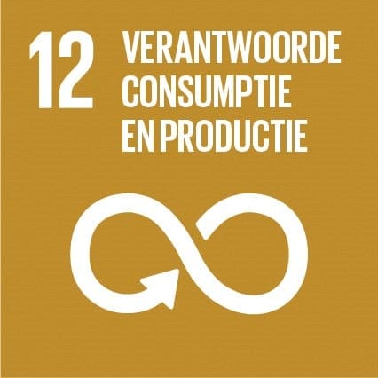 SDG 12, verantwoorde consumptie en productie.