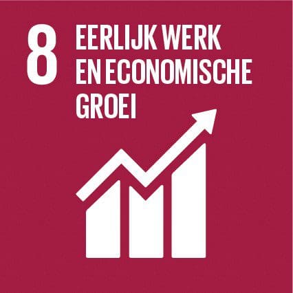 SDG 8: Eerlijk werk en economische groei.